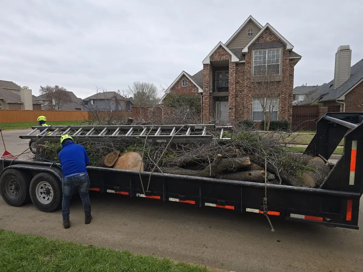 Expert Lot Clearing with proper safety equipment in Eagle